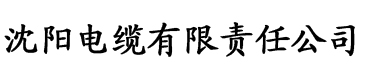 一区二区三区亚洲精品国电缆厂logo